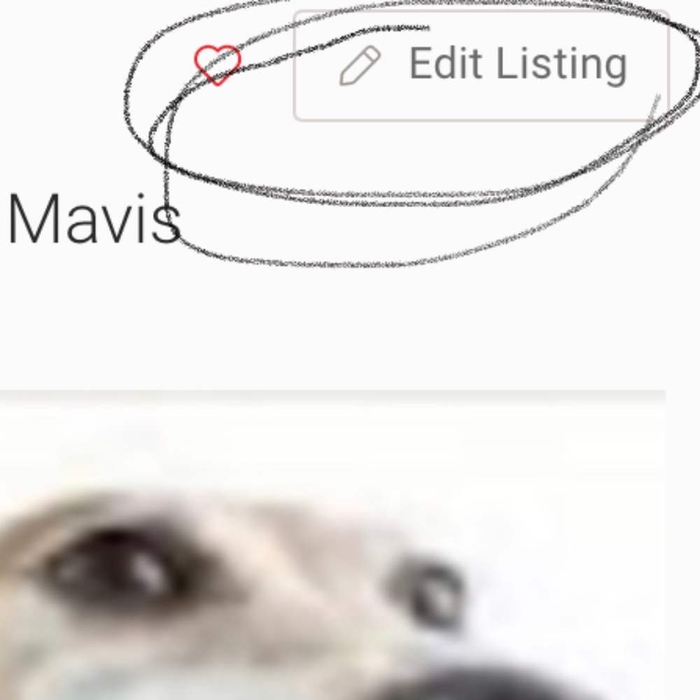 Meet your Posher, Mavis - Picture 2 of 3